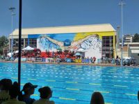 Πανελλήνιο Πρωτάθλημα ΠΠ ΠΚ ΑΒ Βόλος Swimmer Graffiti